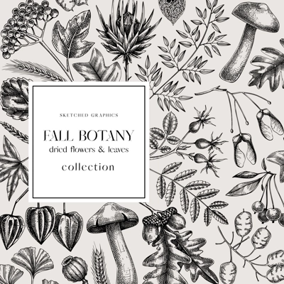 Autumn card or invitation. Thanksgiving banner design. Fall wreath with fall leaves and dried flowers. Sketched dried herbs, falling leaves, mushrooms, seeds. Black and white illustration